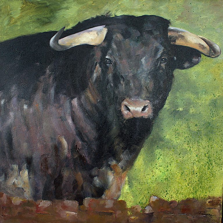 Observando_65x65