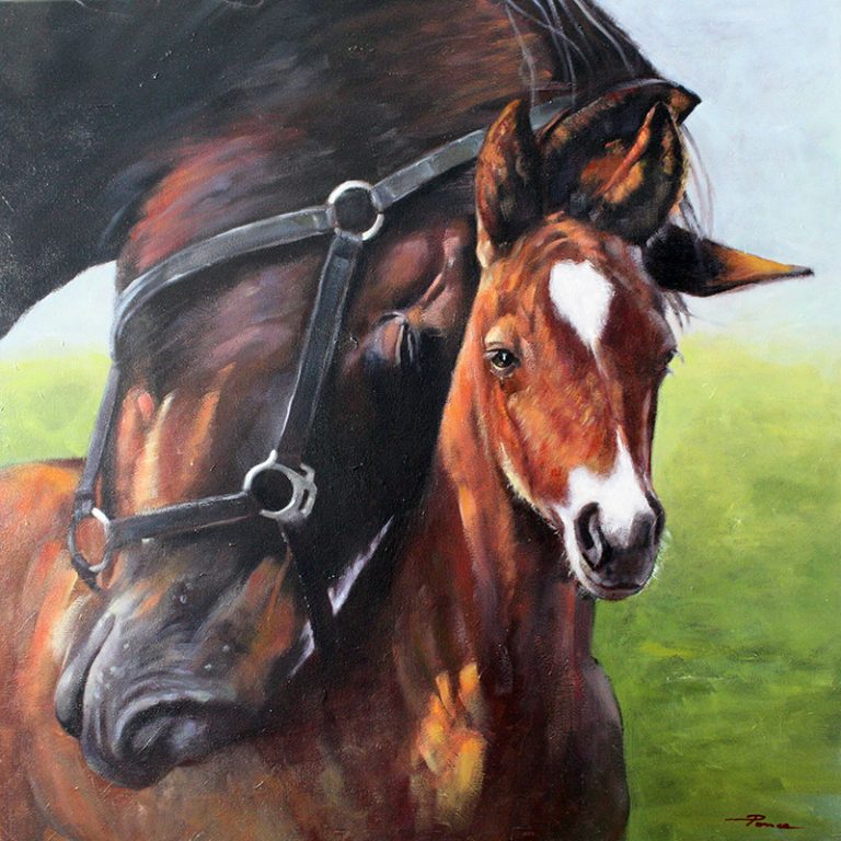 Ternura_70x70