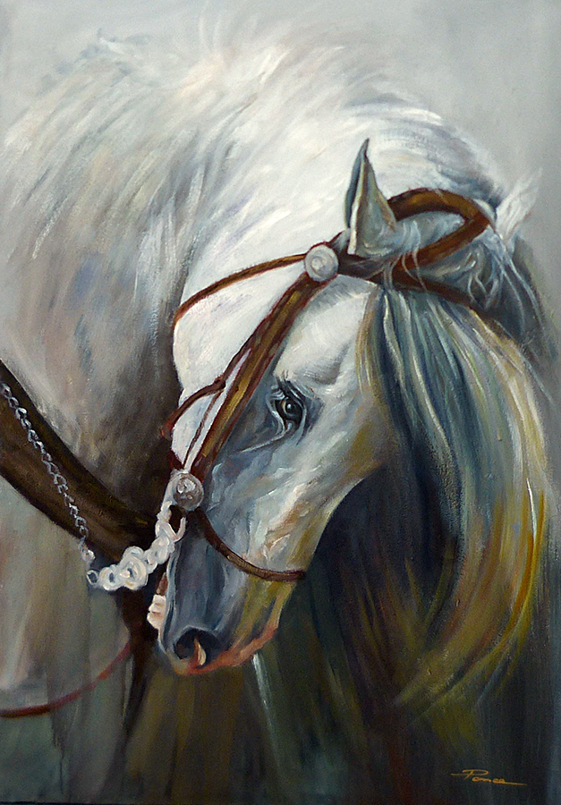 Tolerante_65x92