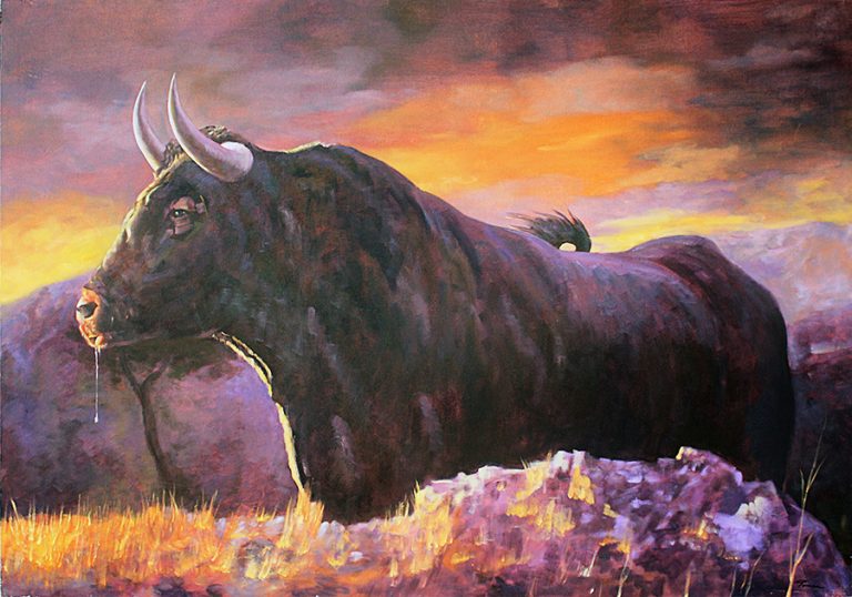 Toro al Amanecer_162x114