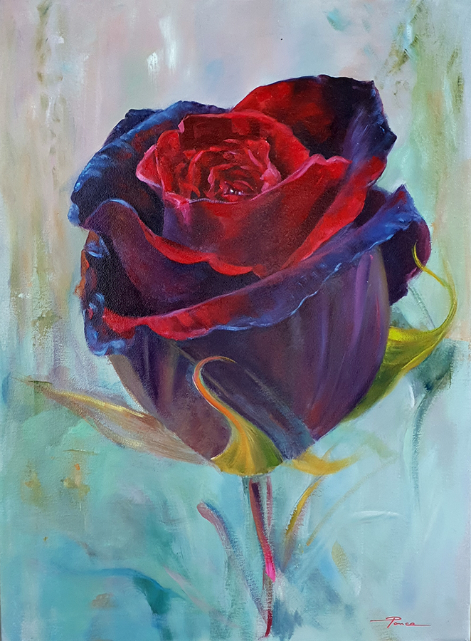 Vida_54x73